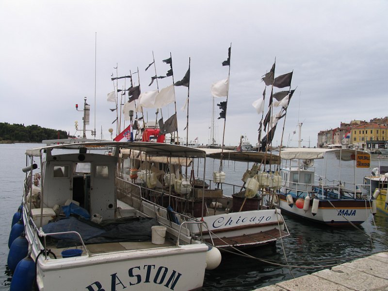 2012-09-13 13-55-41 Ludo.JPG